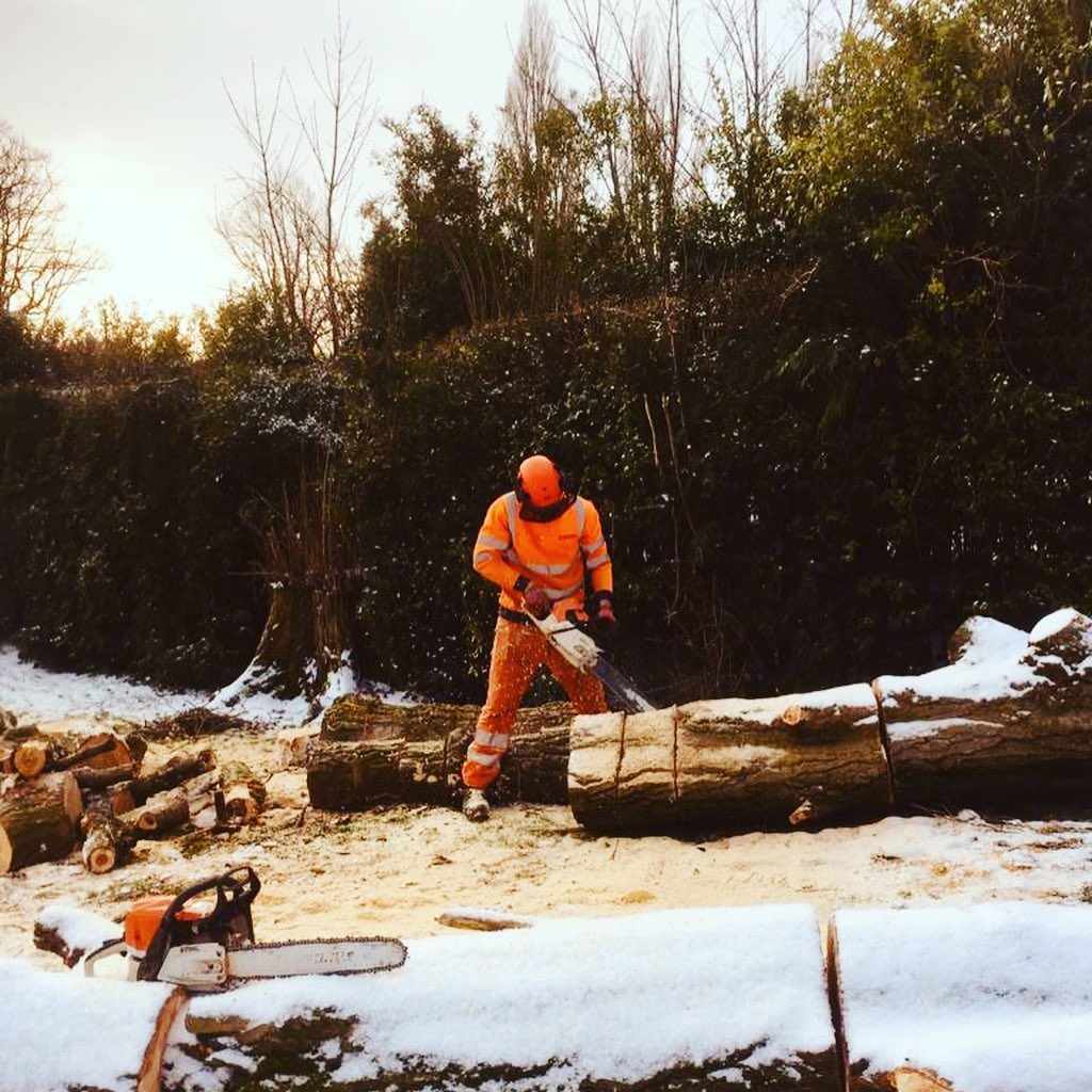 tree surgeon working in the snow - Newman Landscapes